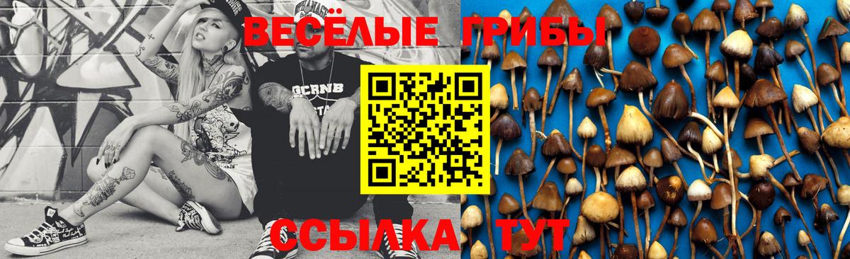 Псилоцибиновые грибы мицелий Кинель